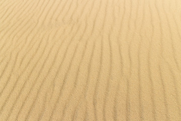 yellow desert sand, dunes