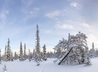 Winter mountain landscape with cross country skiing way. Ural Mountains, Russian Federation