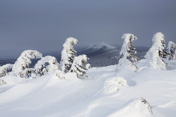 Winter Landscape with Stone Rock Covered with Snow - South Ural mountains, Russia