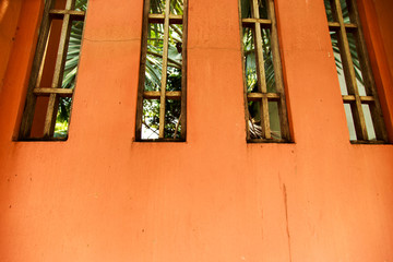Fototapeta na wymiar Orange concrete wall