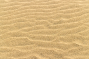 Fototapeta na wymiar yellow desert sand, dunes