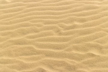 Zelfklevend Fotobehang yellow desert sand, dunes © segenvitaly
