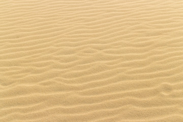 Fototapeta na wymiar yellow desert sand, dunes