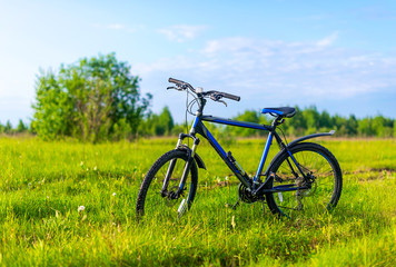 Obraz na płótnie Canvas the bicycle costs in a grass