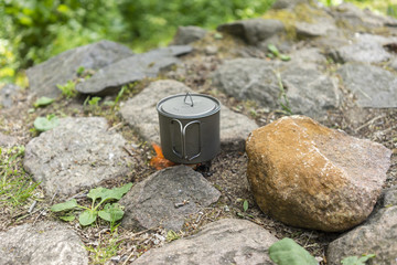 Tea on the nature in the titanium cup
