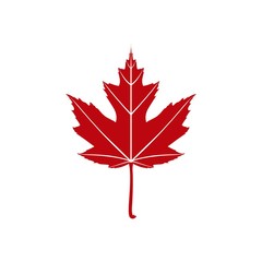 maple leaf vector
