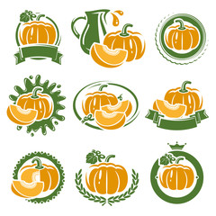 Pumpkin labels and elements set. Vector