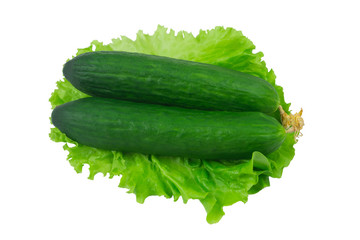 Long cucumbers on lettuce leaf