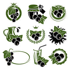 Black currant labels and elements set. Vector