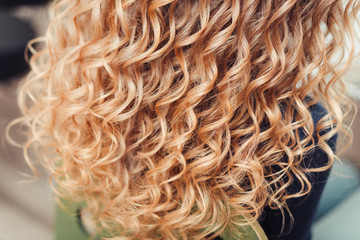 close-up of curly blond hair in barber beauty salon