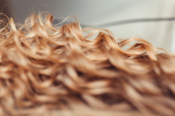 close-up of curly blond hair in barber beauty salon © EdNurg