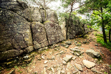 strange stones in the forest - outdoor activity in italy