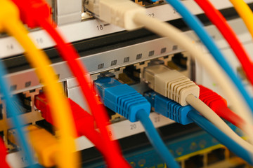 Ethernet cables connected to network switch, close up