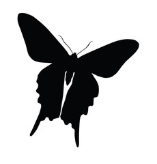 Silhouette of butterfly, isolated on white, vector illustration