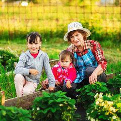 Family resting in the garden.