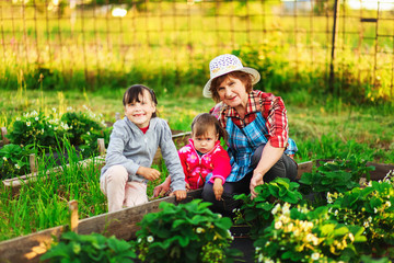 Fototapeta premium Family resting in the garden.
