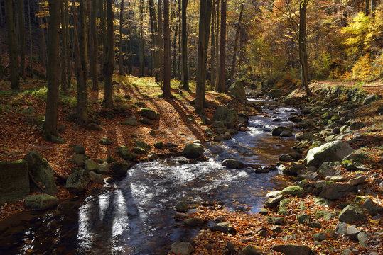 Germany, Saxony-Anhalt, Harz National Park, Ilse River at Ilse Valley in autumn