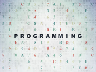 Fototapeta na wymiar Software concept: Programming on Digital Data Paper background