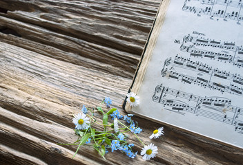 Altes Notenblatt mit Gänseblümchen (Bellis perennis) und Vergissmeinnicht (Myosotis) auf Treibholz / Holz Hintergrund  © bidaya