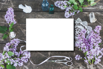 Cute and stylish branding mockup photo wit lilac.