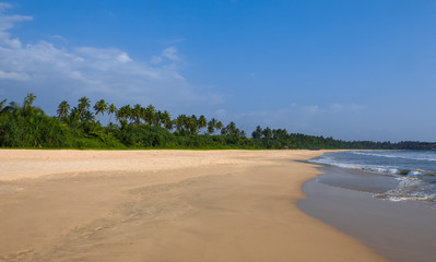 The shore line on a sandy beach
