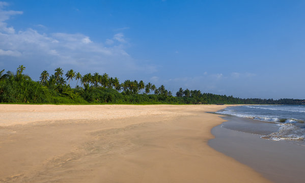 The shore line on a sandy beach
