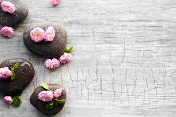 Spa stones and pink flowers on wooden background