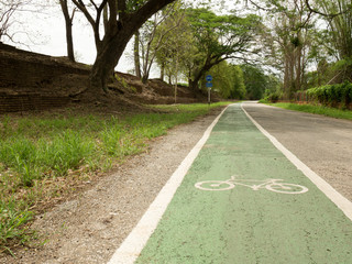 Bike lane for healthy