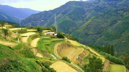 宮崎県椎葉村の棚田