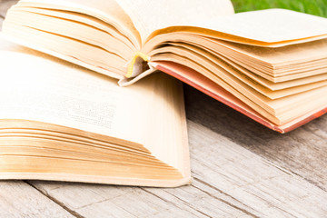 Summer pictures with an open book. Open book on the background of nature. Knowledge is power. Flowers in the book. Education. on the wooden table. Teacher's day. Empty space for text