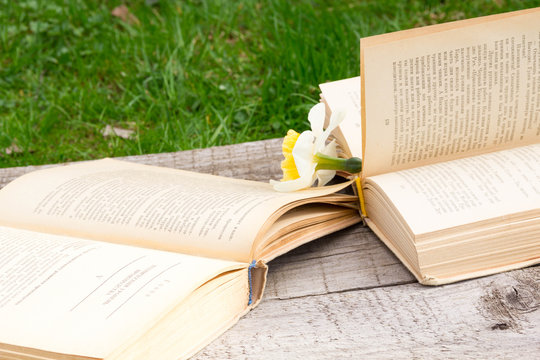 Summer pictures with an open book. Open book on the background of nature. Knowledge is power. Flowers in the book. Education. on the wooden table. Teacher's day. Empty space for text