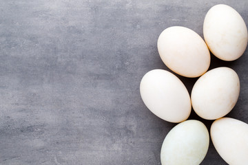  Duck eggs on a cage gray background.