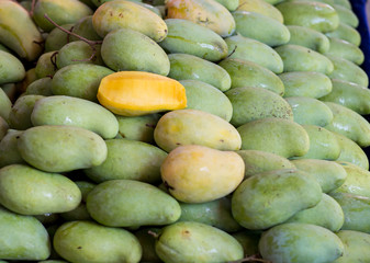 Many ripe mango in Thailand market.
