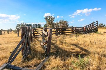 Fototapeta na wymiar Old run down wooden cattle race in dry paddock. Australia.