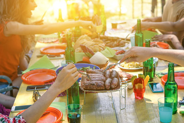 Group of multiracial students having barbecue on a sunny day 