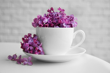 Purple lilac flowers in a cup on white table