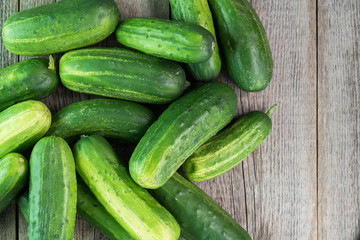 Farm organic cucumbers.