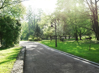 Fototapeta na wymiar Pathway in park