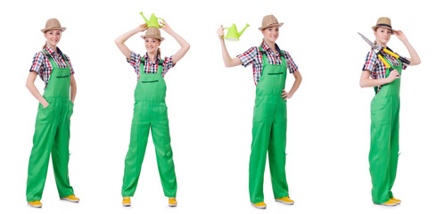 Collage of woman watering plants isolated on white