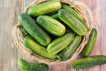 Farm organic cucumbers in basket.