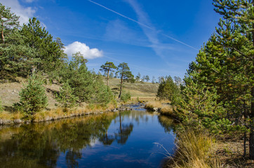 Fototapeta premium Zlatibor mountain in Serbia