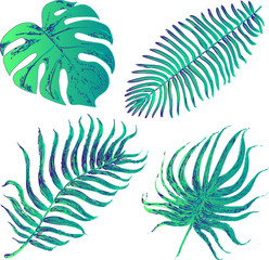 Fototapeta na wymiar Vector set with tropical exotic leafes