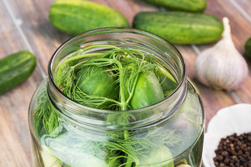 Farm organic cucumbers preparing for pickles.