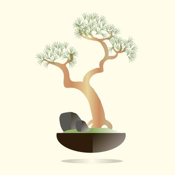 Bonsai. Pine tree in a black pot on a light pink background. Green needles, brown branches, gray stones, green grass, flat design. Vector object isolated