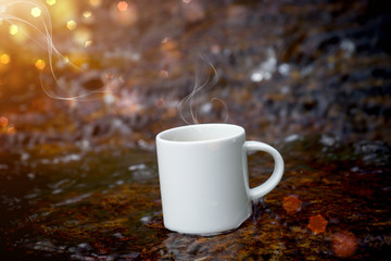 Refreshments and coffee on the rocks at the falls.