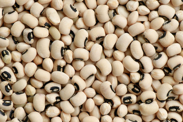 Black Eyed Pea background, White bean background