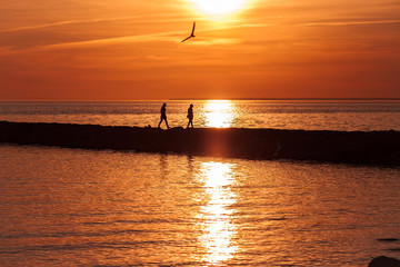 silhouettes of people walking on sea coast