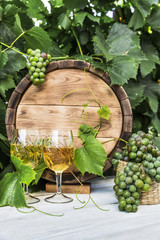 Wine with barrel on vineyard