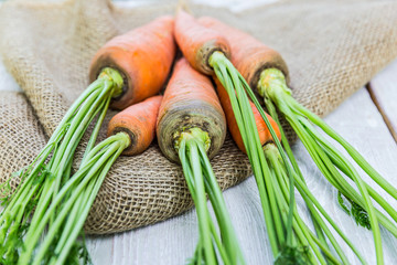 Fresh Carrots on wooden background