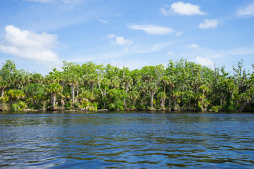 St Johns River